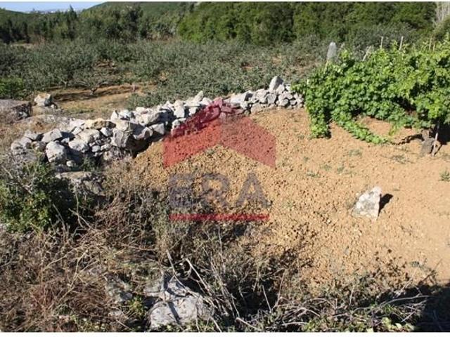 Terreno venda em Casal Serrano, Lourinhã