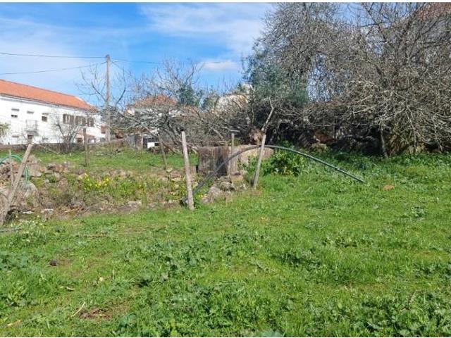 Terreno venda em Mação, Santarém