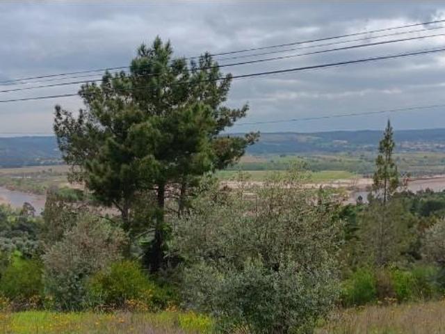 Terreno venda em Mação, Santarém