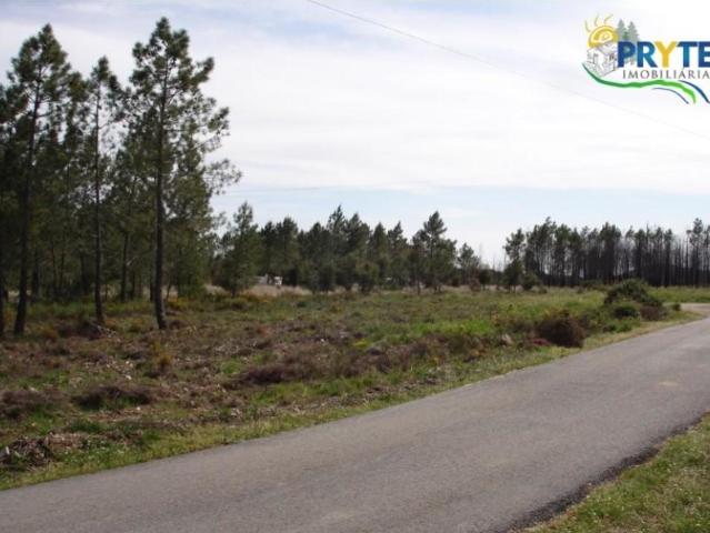 Terreno venda em Mação, Santarém