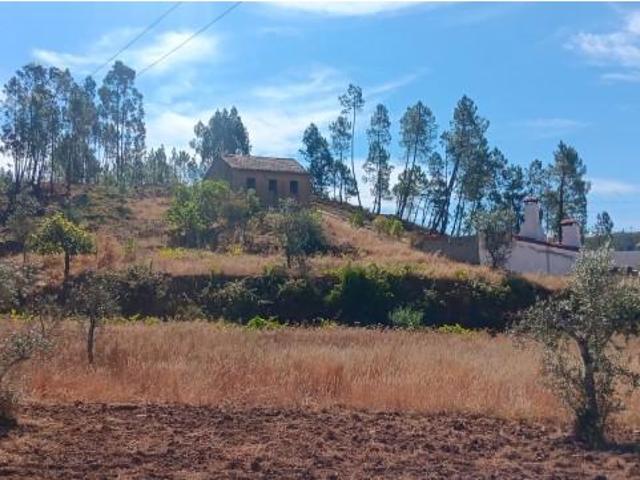Terreno alugar em Mação, Santarém