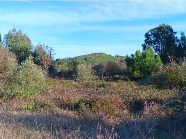 Terreno alugar em Mação, Santarém