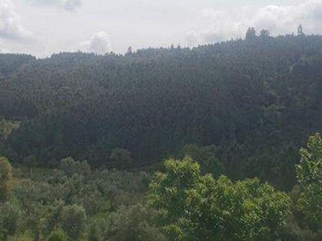 Terreno venda em Mação, Santarém