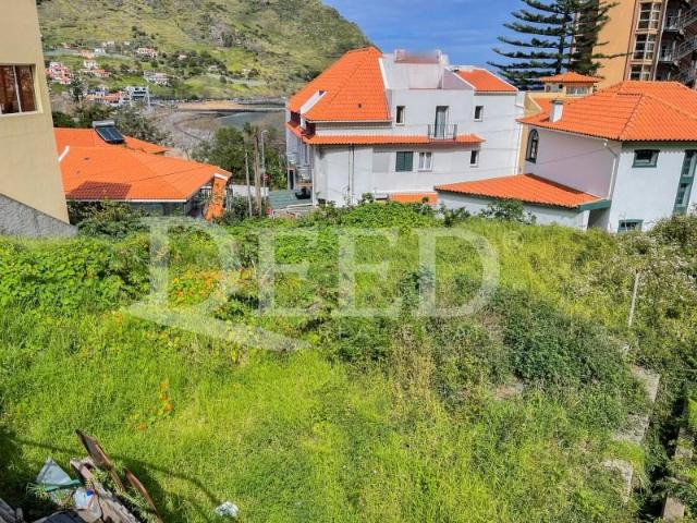 Terreno alugar em Machico