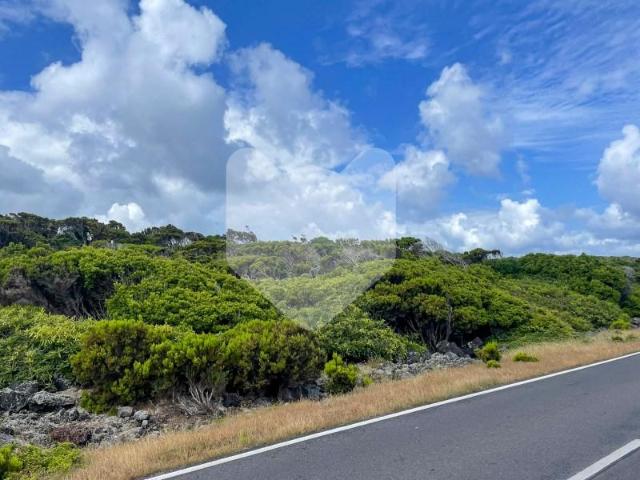 Terreno venda em Açores, Madalena
