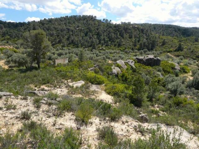 Terreno en venta en Bajo Aragón-Caspe / Baix Aragó-Casp, Aragón