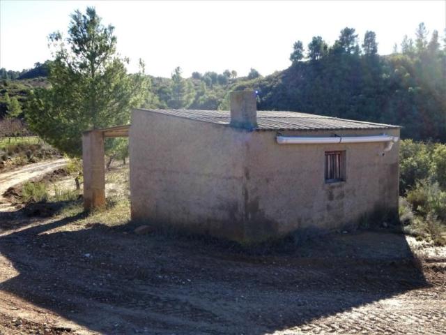 Terreno en venta en Bajo Aragón-Caspe / Baix Aragó-Casp, Aragón