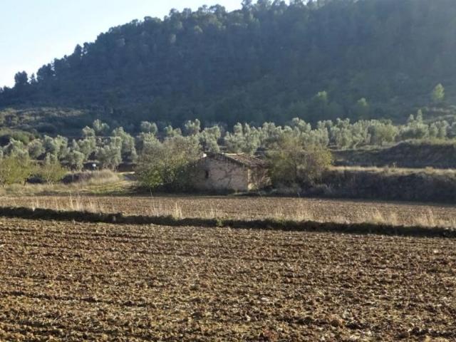 Terreno en venta en Bajo Aragón-Caspe / Baix Aragó-Casp, Aragón