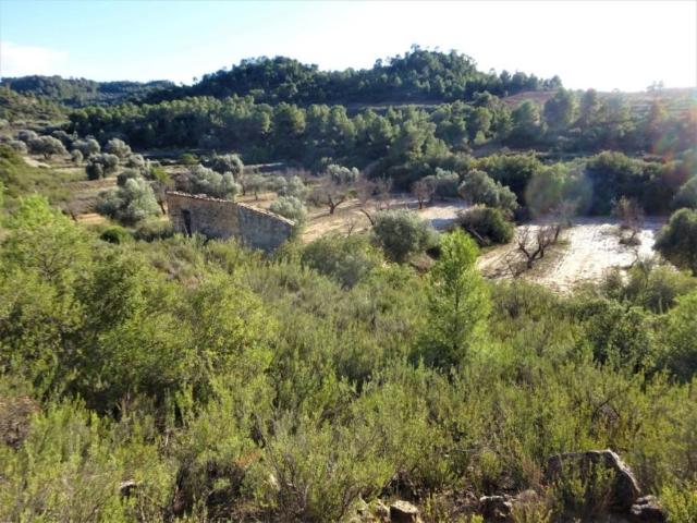 Terreno en venta en Bajo Aragón-Caspe / Baix Aragó-Casp, Aragón
