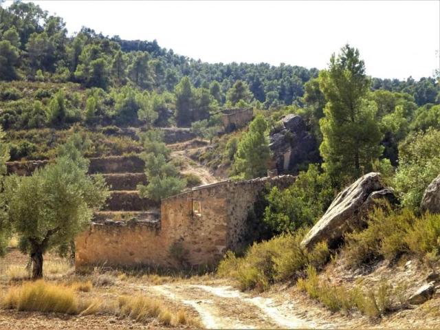 Terreno en venta en Bajo Aragón-Caspe / Baix Aragó-Casp, Aragón