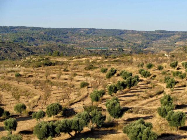 Terreno en venta en Bajo Aragón-Caspe / Baix Aragó-Casp, Aragón