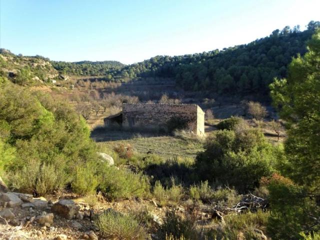 Terreno en venta en Bajo Aragón-Caspe / Baix Aragó-Casp, Aragón