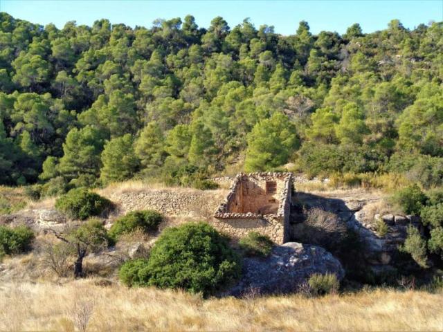 Terreno en venta en Bajo Aragón-Caspe / Baix Aragó-Casp, Aragón