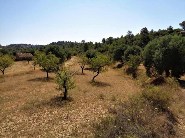 Terreno en venta en Bajo Aragón-Caspe / Baix Aragó-Casp, Aragón