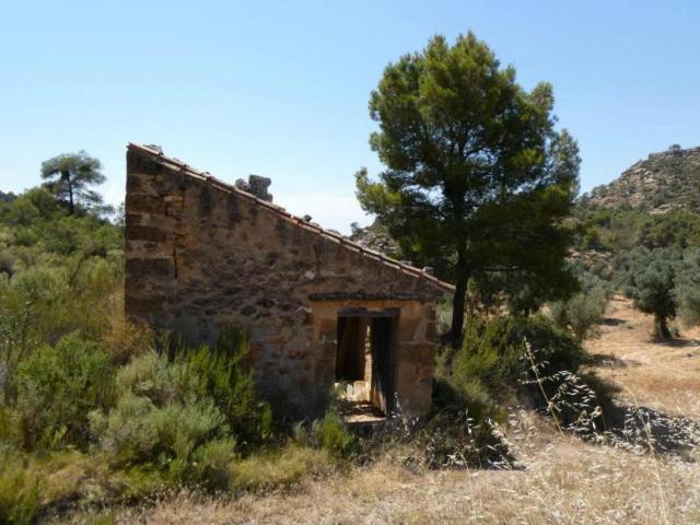 Terreno en venta en Bajo Aragón-Caspe / Baix Aragó-Casp, Aragón