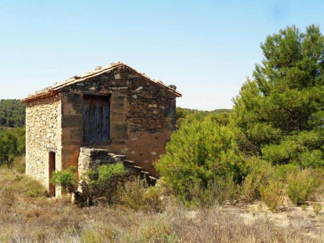 Terreno en venta en Bajo Aragón-Caspe / Baix Aragó-Casp, Aragón