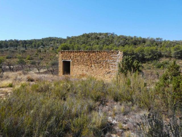 Terreno en venta en Bajo Aragón-Caspe / Baix Aragó-Casp, Aragón