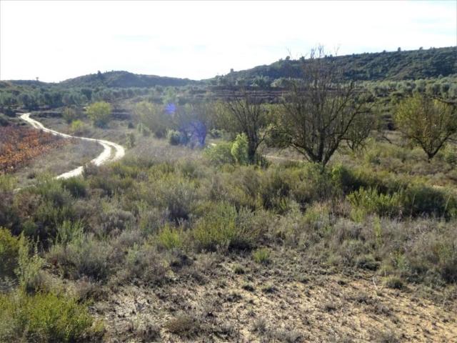 Terreno en venta en Bajo Aragón-Caspe / Baix Aragó-Casp, Aragón