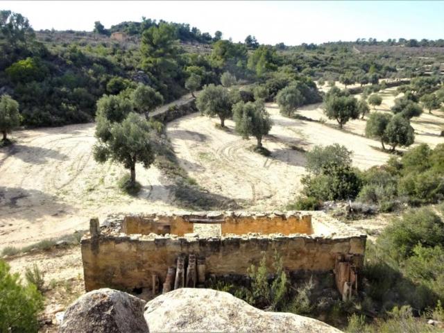 Terreno en venta en Bajo Aragón-Caspe / Baix Aragó-Casp, Aragón