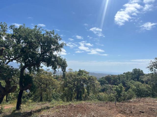 Terreno en venta en Málaga