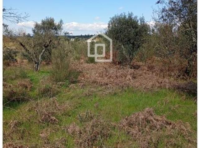 Terreno venda em Mourilhe, Viseu