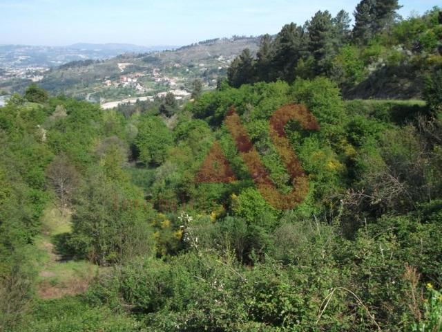 Terreno venda em Soalhães, Porto