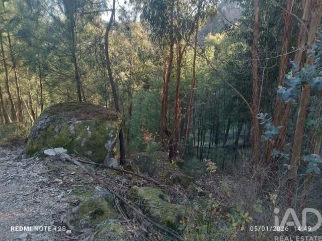 Terreno venda em Paredes de Viadores, Porto