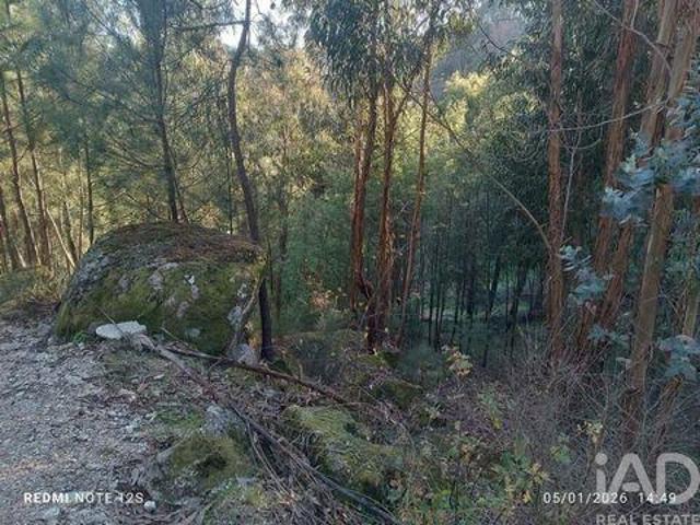 Terreno venda em Marco De Canaveses, Porto