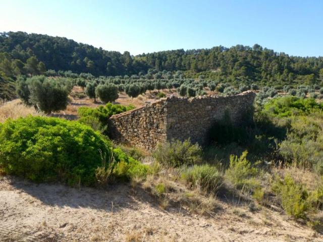 Terreno en venta en Matarraña / Matarranya, Mazaleón