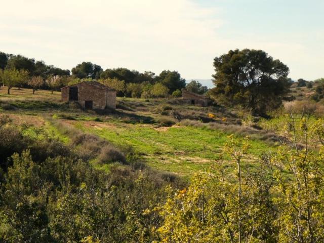 Terreno en venta en Bajo Cinca / Baix Cinca, Aragón