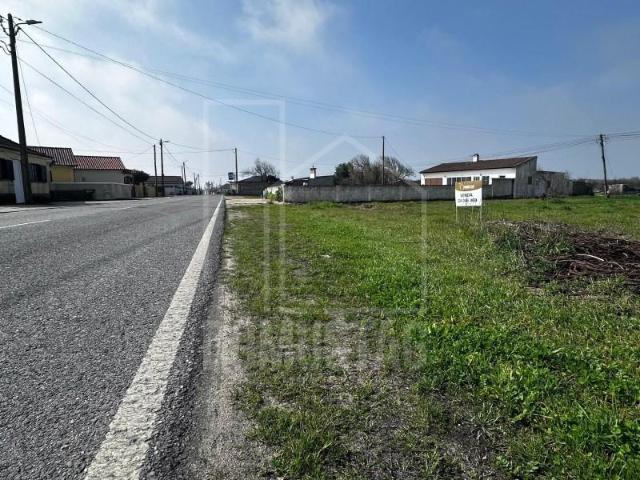 Terreno venda em Mira, Coimbra