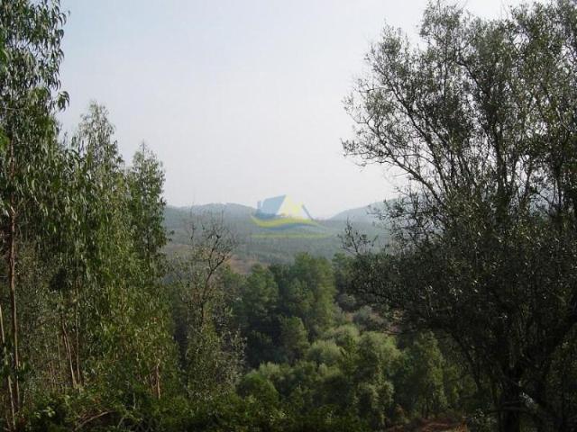 Terreno venda em Miranda Do Corvo, Coimbra