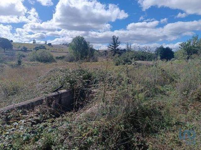 Terreno venda em Mogadouro, Bragança