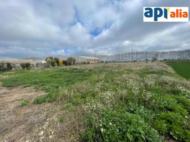 Terreno en venta en Mollerussa, Lleida