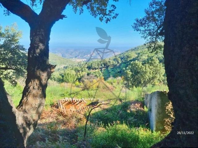 Terreno venda em Monchique, Faro