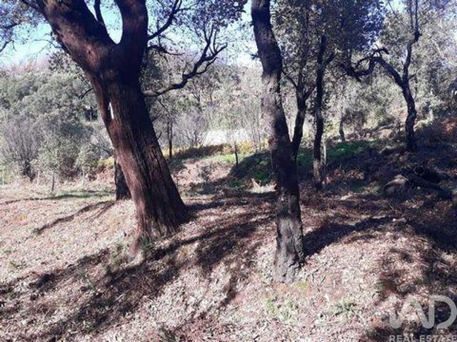Terreno venda em Ceiceira, Monchique