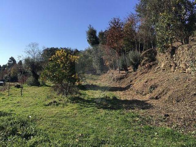 Terreno venda em Mondim De Basto, Vila Real