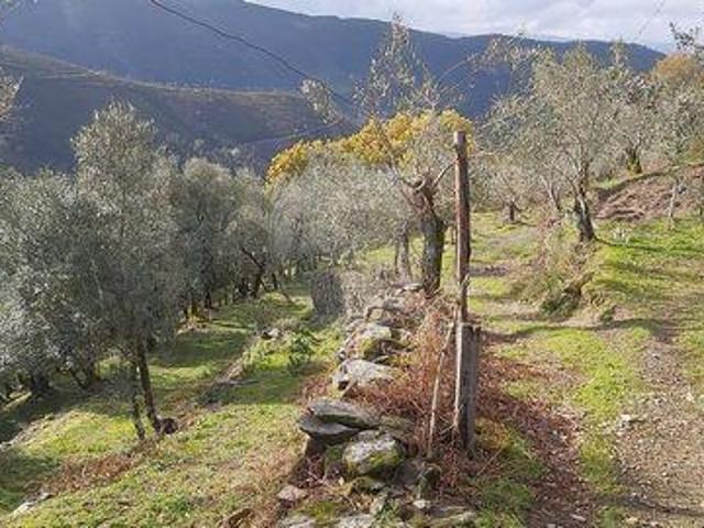 Terreno venda em Mondim De Basto, Vila Real