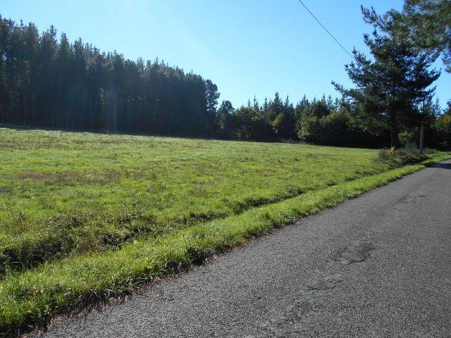 Terreno en venta en Terra de Lemos, Galicia