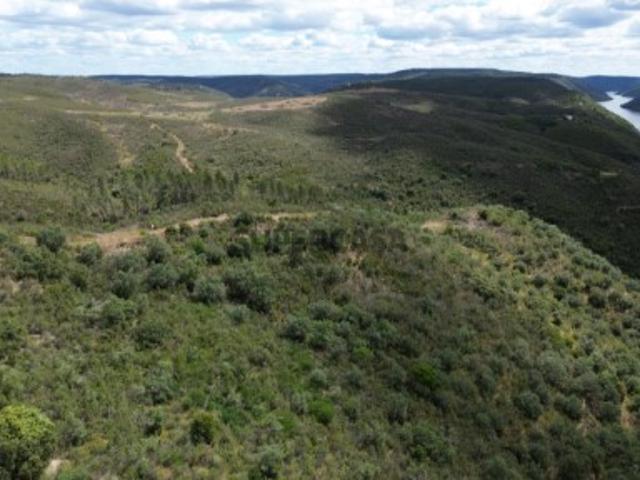Terreno venda em Castelo Branco, Vila Velha De Ródão