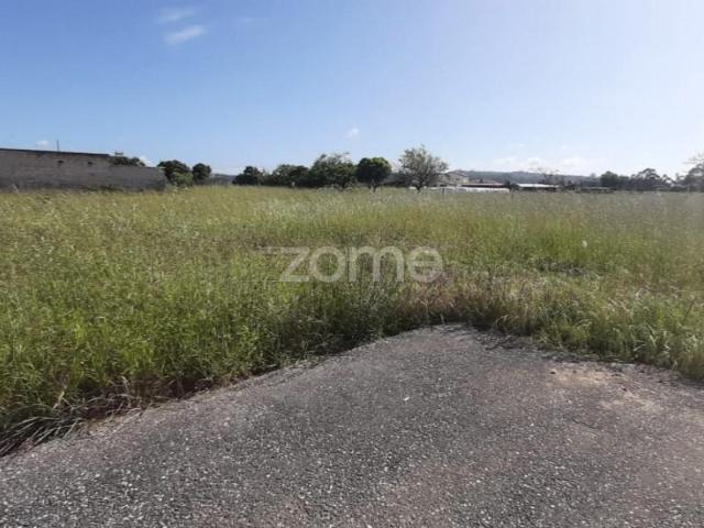 Terreno venda em Montemor-o-Velho e Gatões, Montemor-o-velho