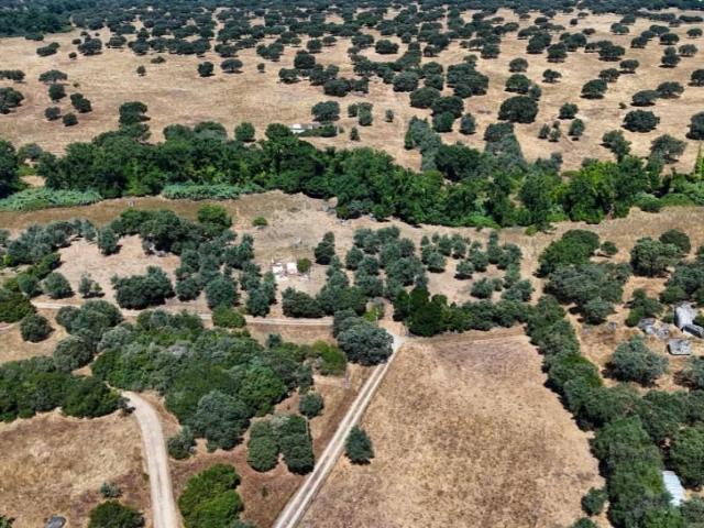 Terreno venda em Montemor-o-novo, Évora