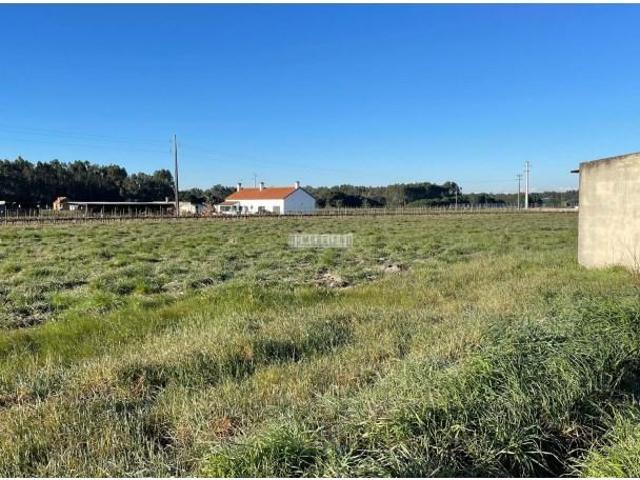 Terreno venda em Montijo, Setúbal