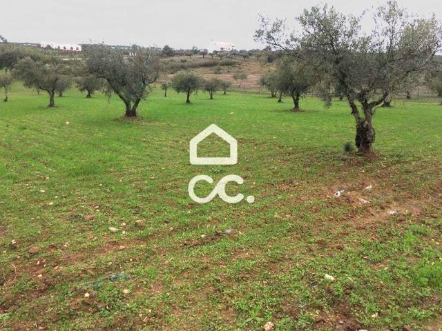Terreno venda em Mourã, Beja