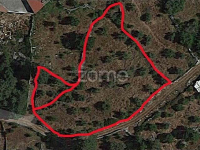 Terreno venda em Porto De Mós, Leiria