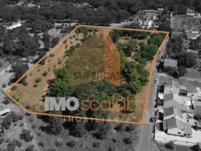 Terreno venda em Chamusca, Santarém