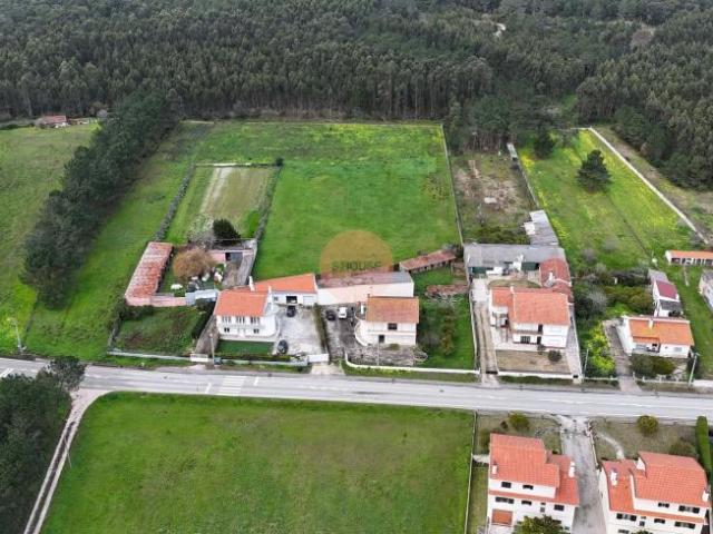 Terreno venda em Pederneira, Leiria