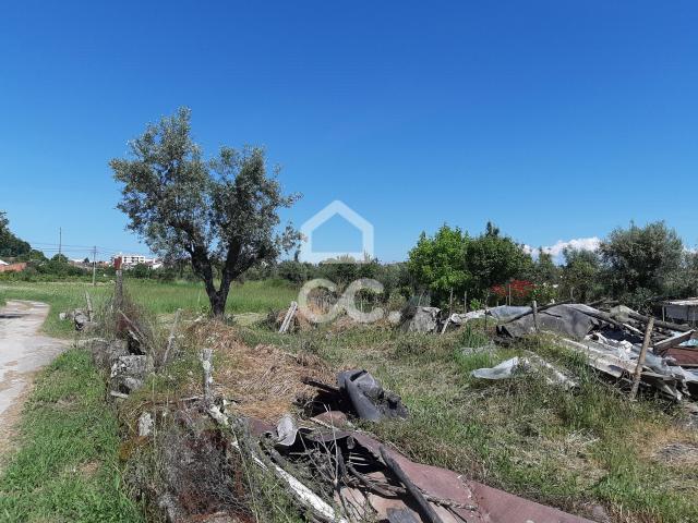 Terreno venda em Nelas, Viseu