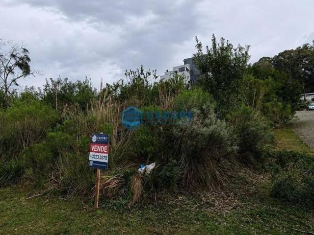 Terreno venda em Região Geográfica Imediata de Caxias do Sul, Caxias do Sul