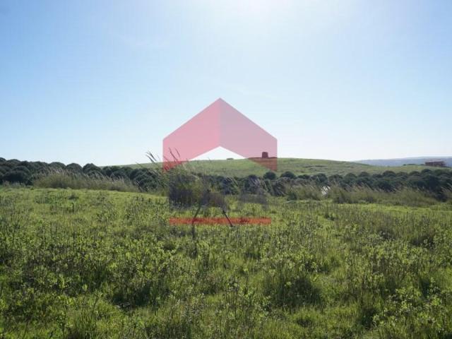 Terreno venda em Óbidos, Leiria